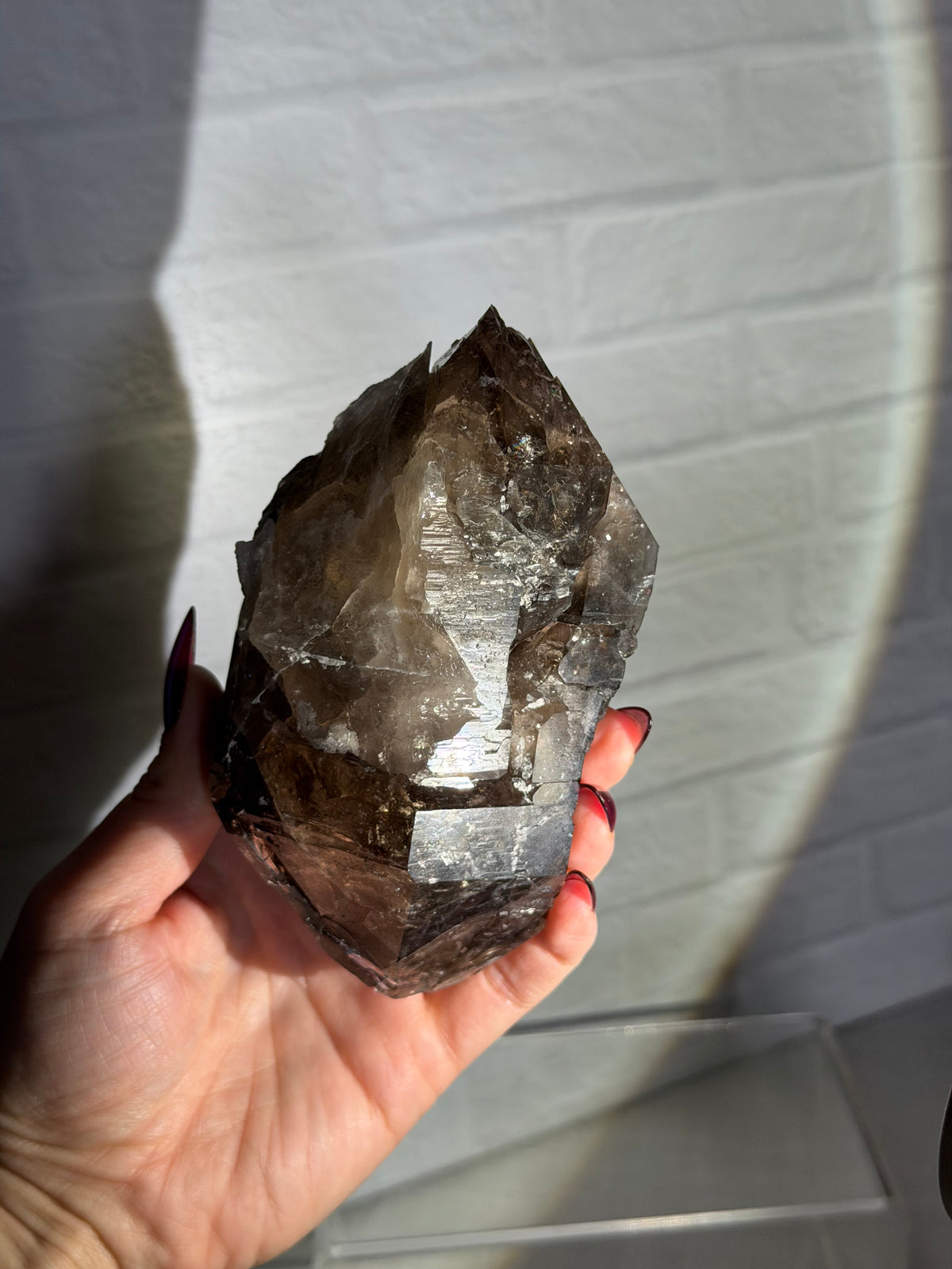 Colorado smoky quartz elestial DT