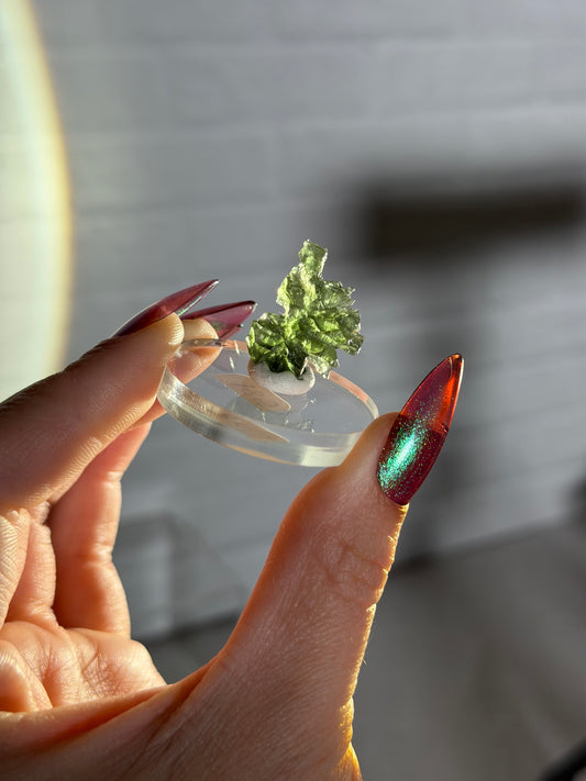 Besednice moldavite r