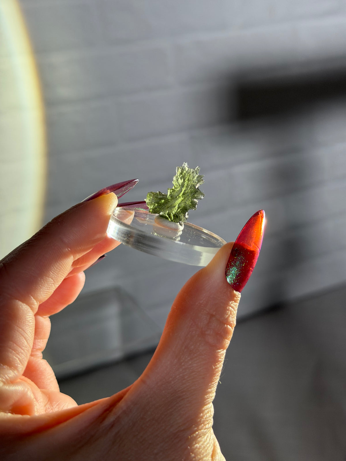 Besednice moldavite t
