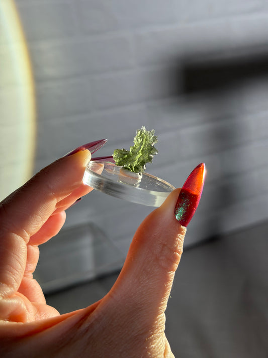 Besednice moldavite t
