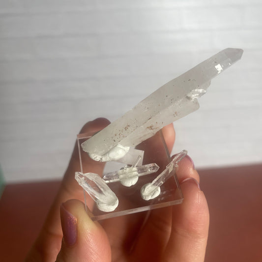 faden quartz set a