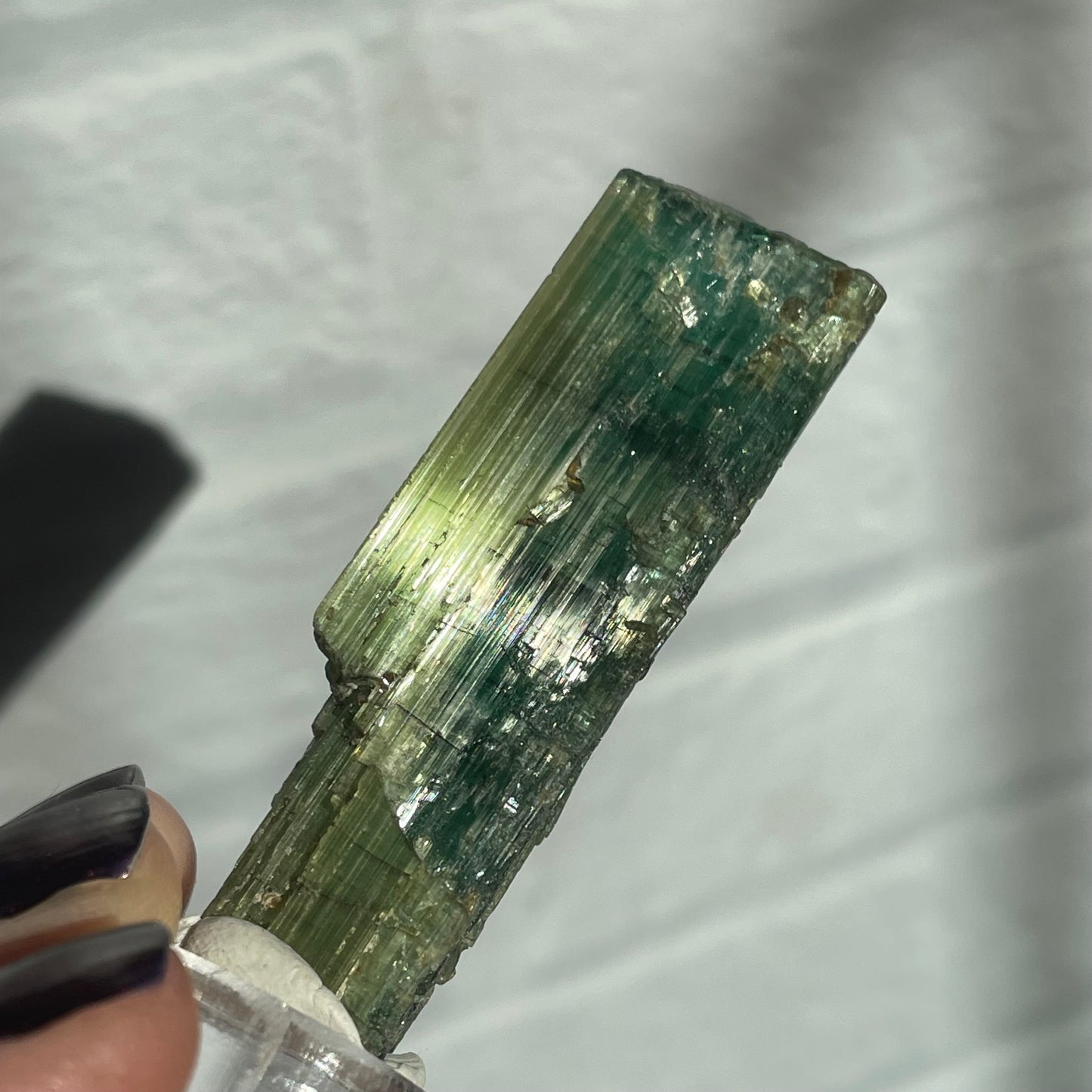 taquaral tourmaline a
