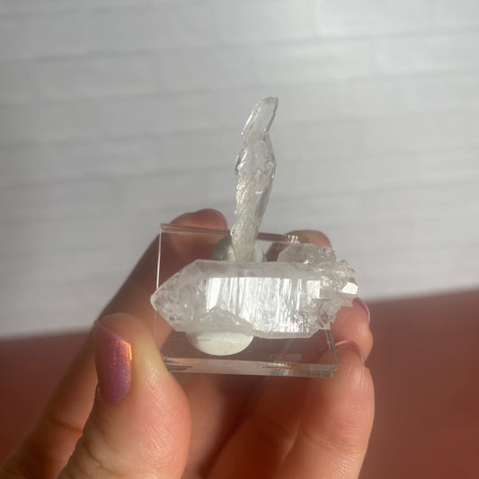 faden quartz set b