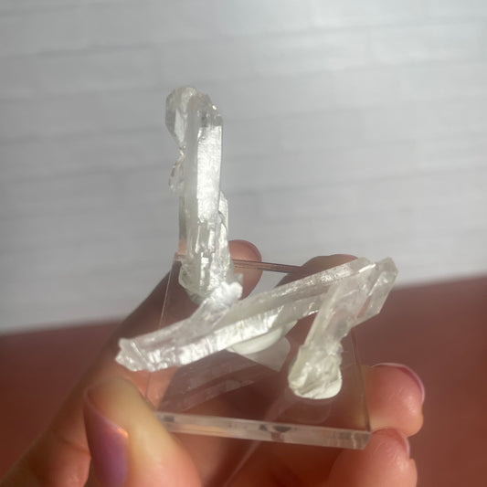 faden quartz set c