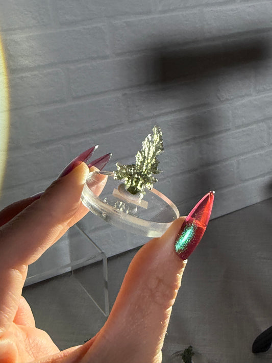 Besednice moldavite w