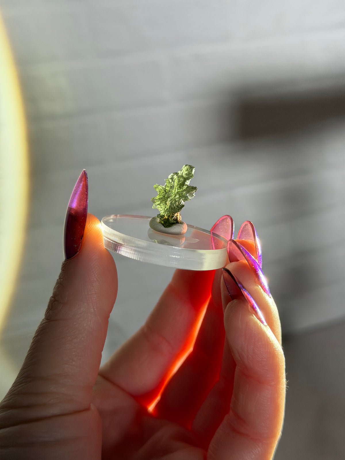 Besednice moldavite x