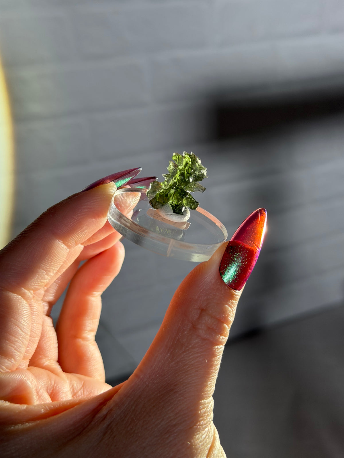 Besednice moldavite s
