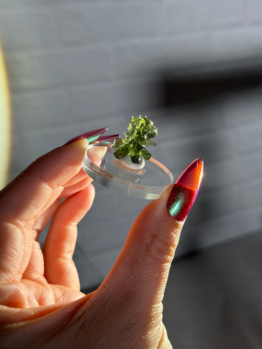 Besednice moldavite s