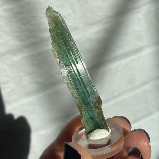taquaral tourmaline b