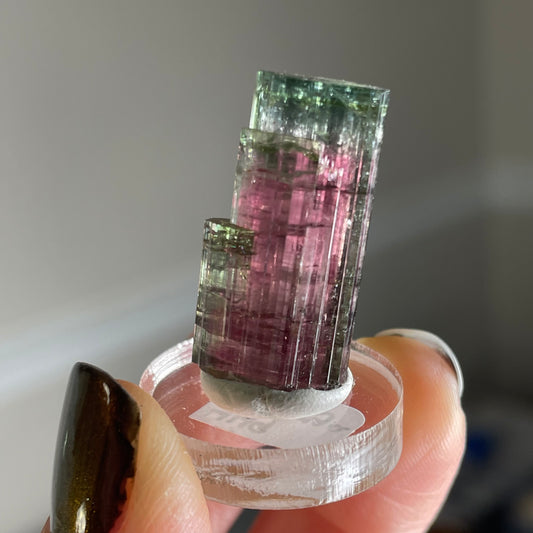 aricanga tourmaline