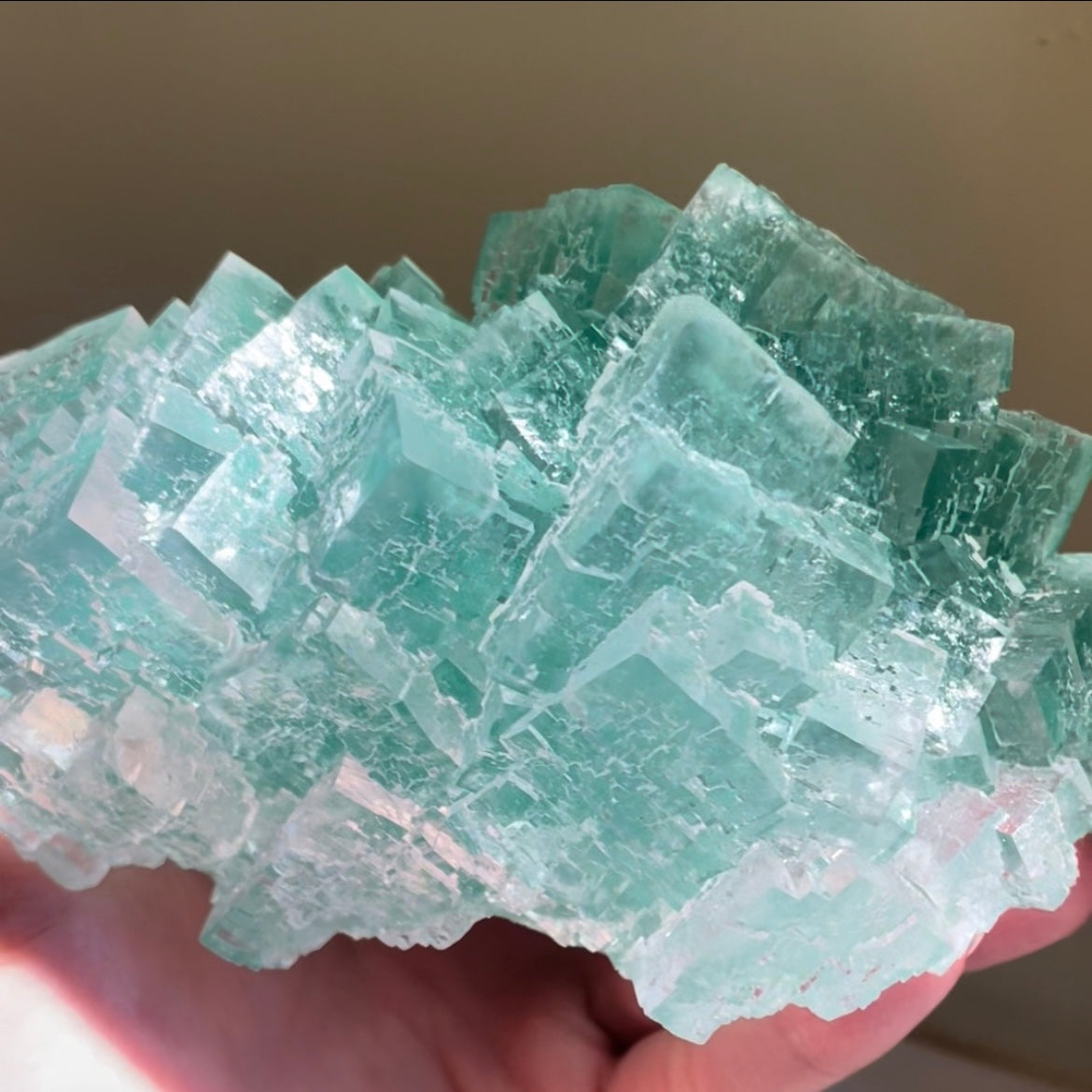 green halite