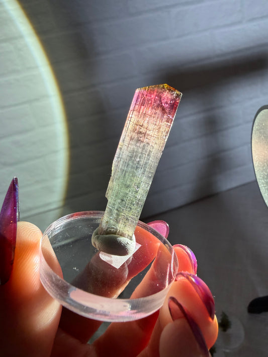 Cruzeiro tourmaline