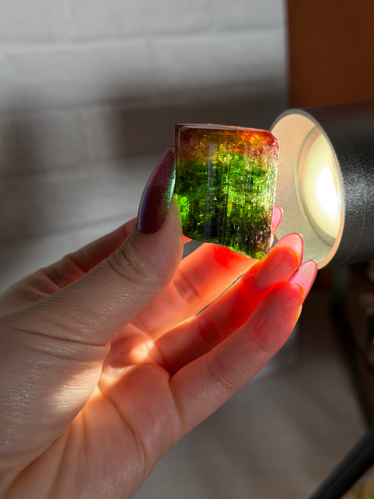 Pau Alto tourmaline