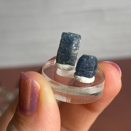 sapphire set d