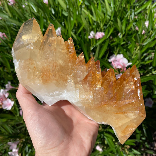 elmwood calcite