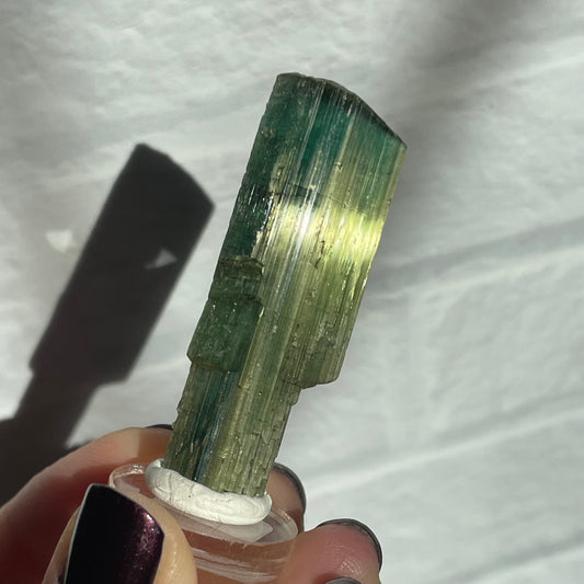 taquaral tourmaline a