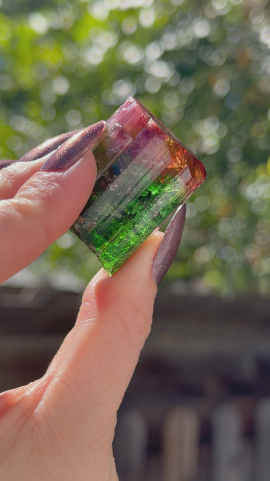 Pau Alto tourmaline