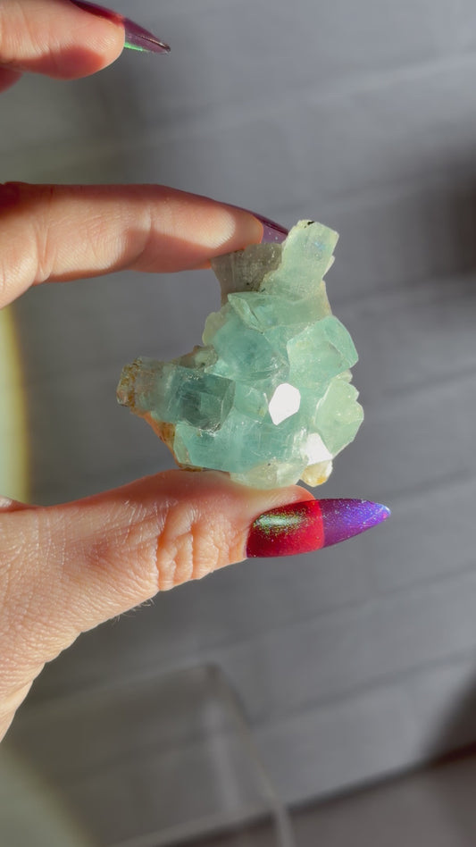 Erongo aquamarine cluster