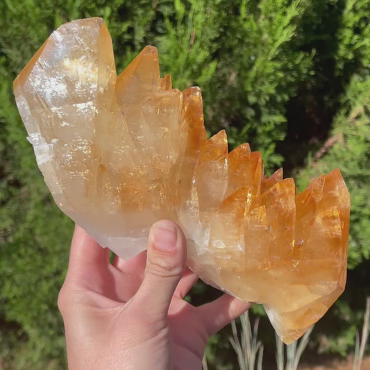 elmwood calcite